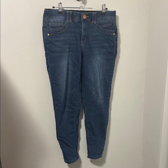 Democracy Denim - Democracy Blue Skinny Jeans with Stretchy Comfort‎